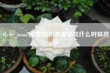汕头中国消防救援学院什么时候政审
