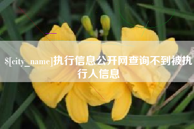 汕头执行信息公开网查询不到被执行人信息