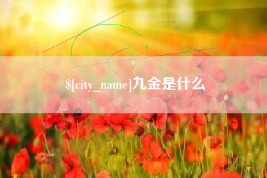 汕头九金是什么