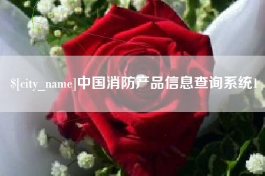 汕头中国消防产品信息查询系统1