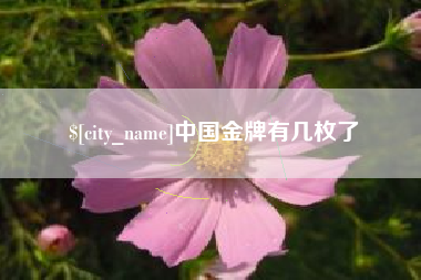 汕头中国金牌有几枚了
