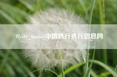 汕头中国执行执行信息网