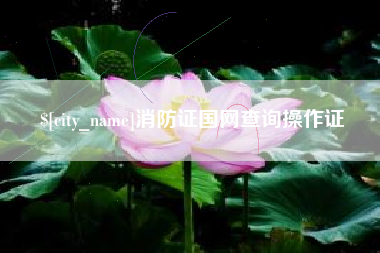 汕头消防证国网查询操作证