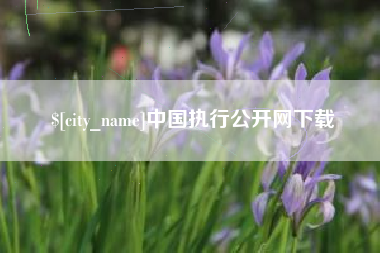 汕头中国执行公开网下载