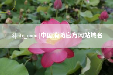 汕头中国消防官方网站域名