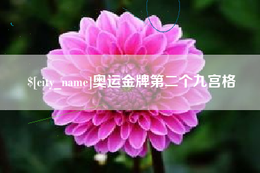 汕头奥运金牌第二个九宫格