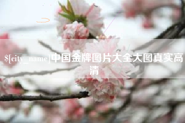 汕头中国金牌图片大全大图真实高清