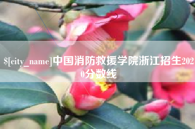 汕头中国消防救援学院浙江招生2020分数线