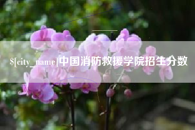汕头中国消防救援学院招生分数