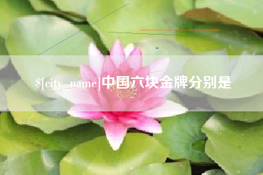 汕头中国六块金牌分别是