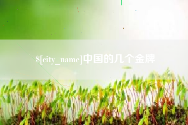 汕头中国的几个金牌