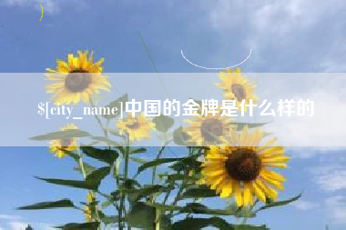 汕头中国的金牌是什么样的