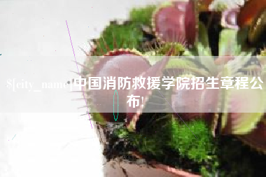 汕头中国消防救援学院招生章程公布!