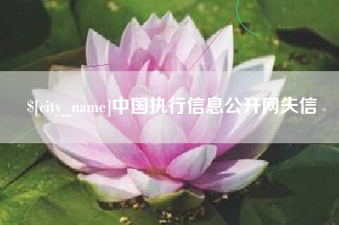 汕头中国执行信息公开网失信