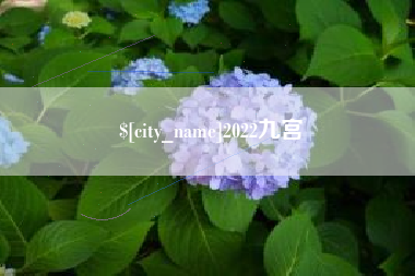 汕头2022九宫