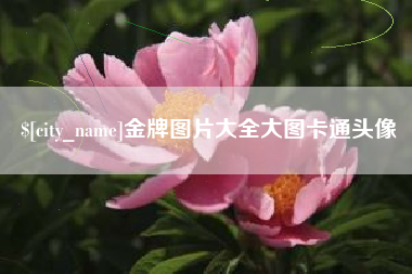 汕头金牌图片大全大图卡通头像