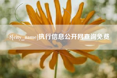 汕头执行信息公开网查询免费