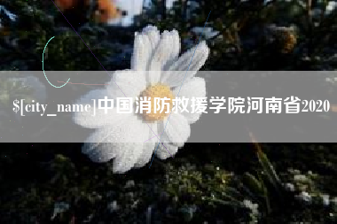 汕头中国消防救援学院河南省2020